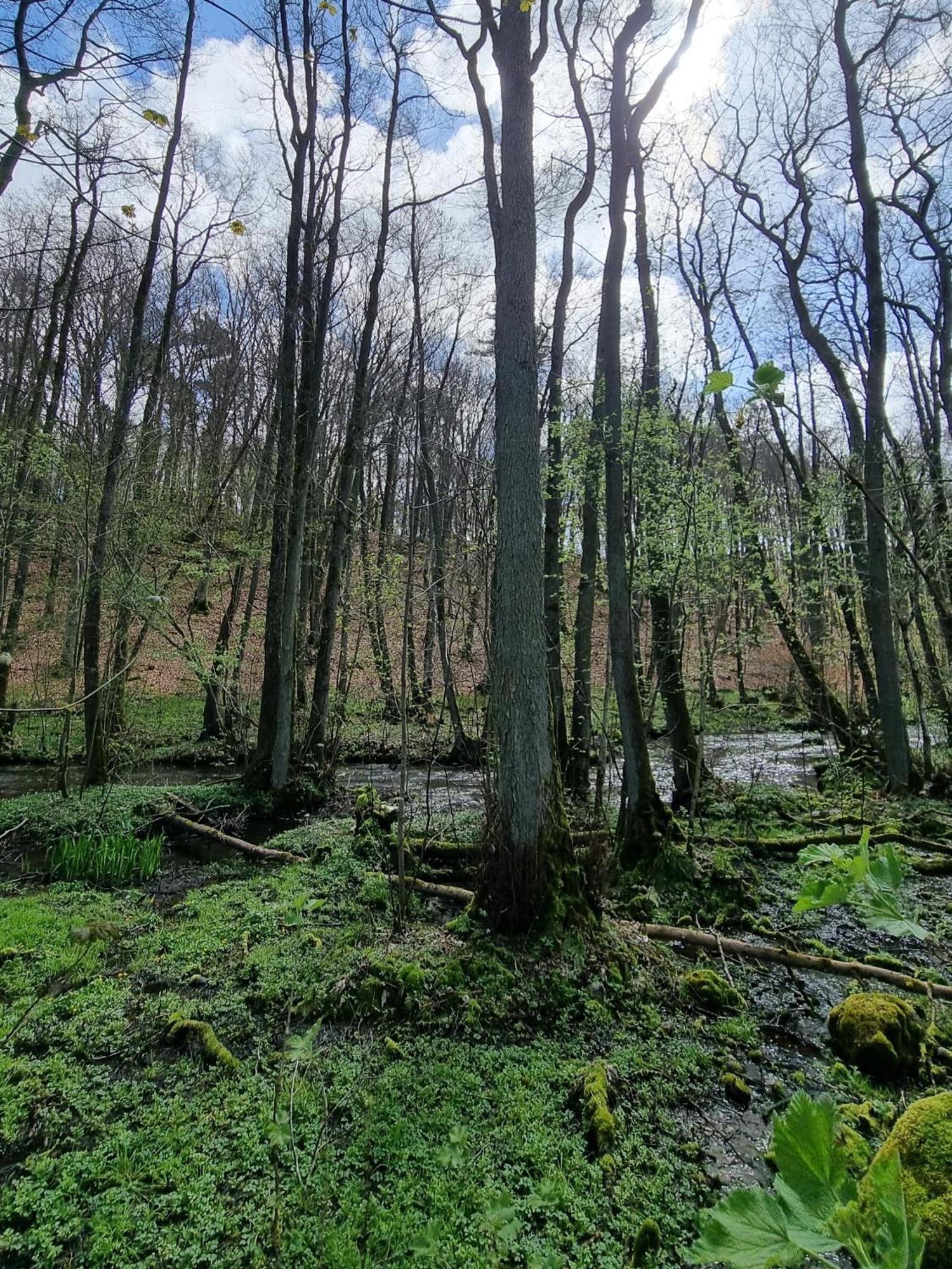 Domki Nad Morzem Lublewo21 Obok Bialogory Lublewo Leborskie Luaran gambar